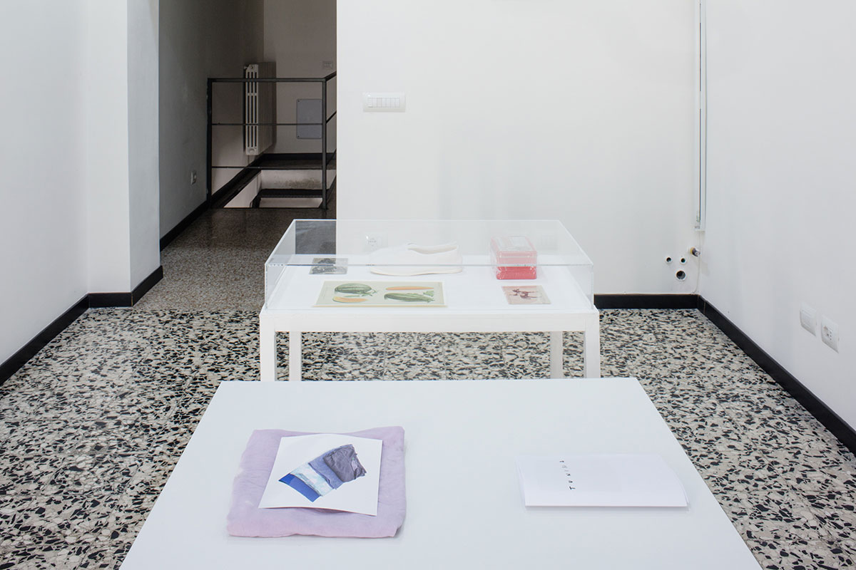 La-Tunisia_©Pelagica_11